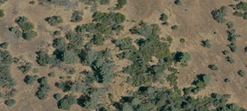 Coulterville, CA 95311