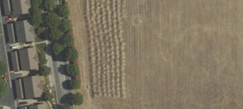 Coalinga, CA 93210