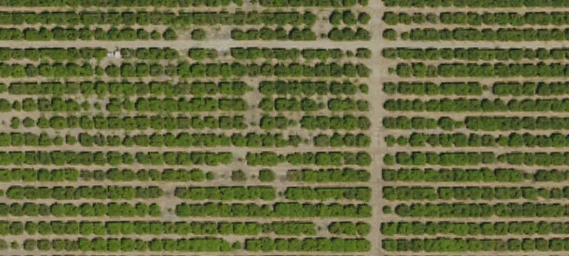 Delano, CA 93215