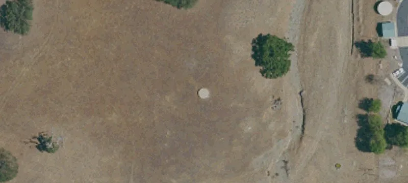 Antelope Forestry