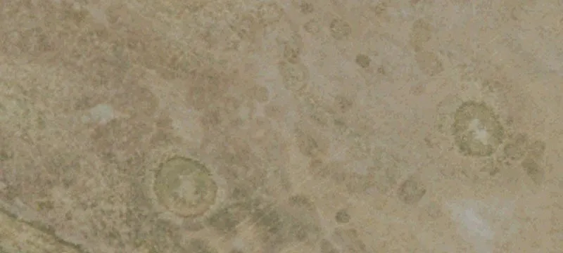 Gustine, CA 95322