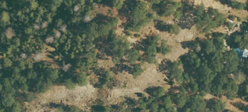 Bass Lake, CA 93604