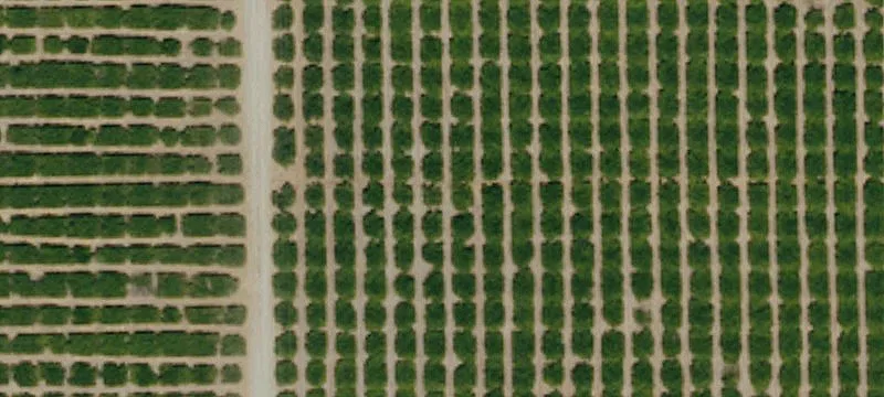 Delano, CA 