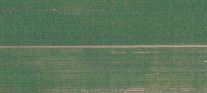 Visalia, CA 93291