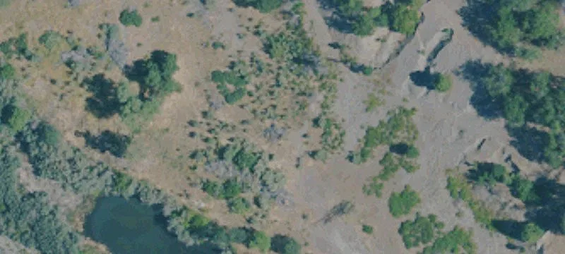 1810 Yreka Walker Rd