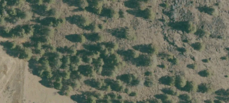 Dorris, CA 96023