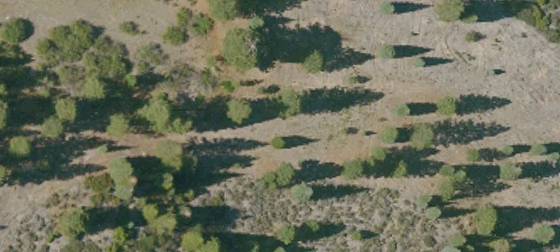 Weed, CA 96094