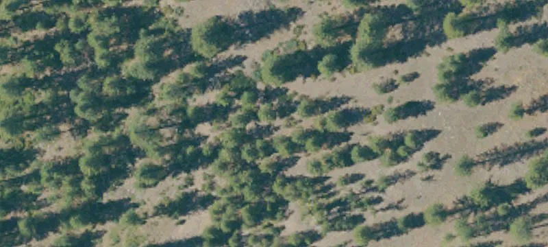 Mccloud, CA 96057