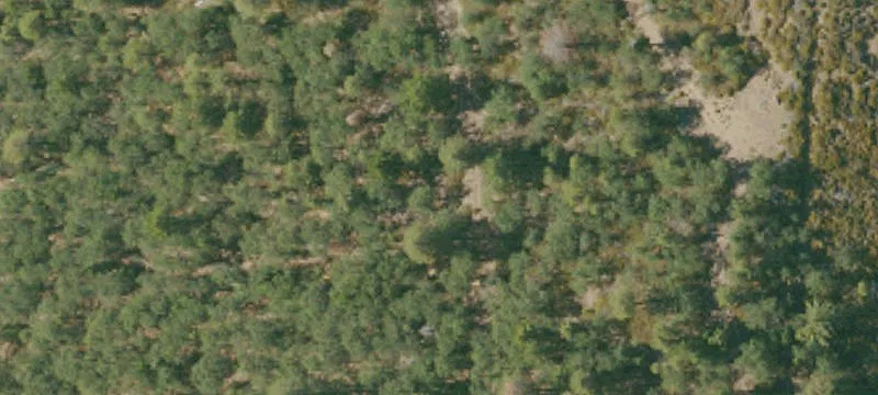 Weed, CA 96094