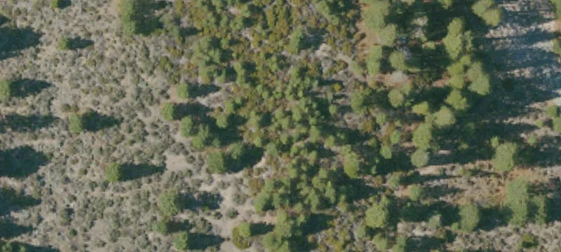 Weed, CA 96094