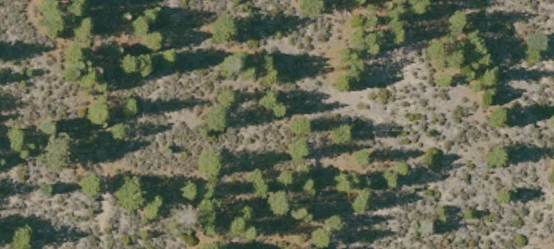 Weed, CA 96094