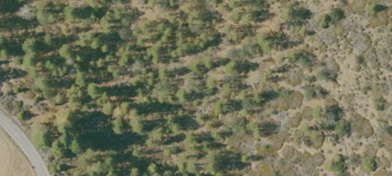 Weed, CA 96094
