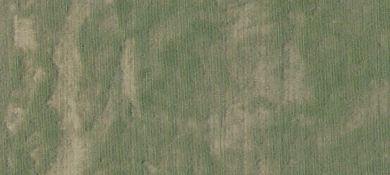Kingsburg, CA 93631