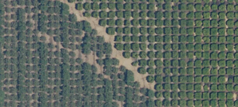 Terra Bella, CA 93270