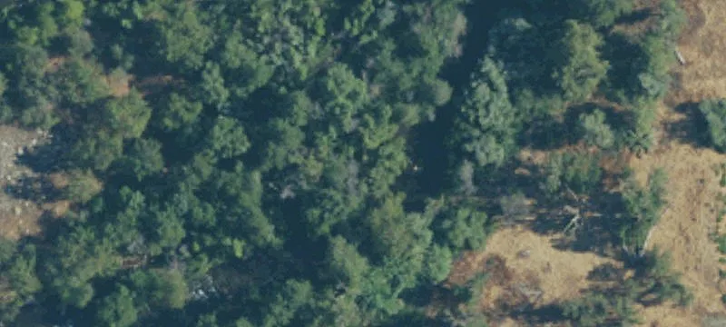 Three Rivers, CA 93271