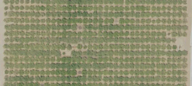 Farmersville, CA 93223