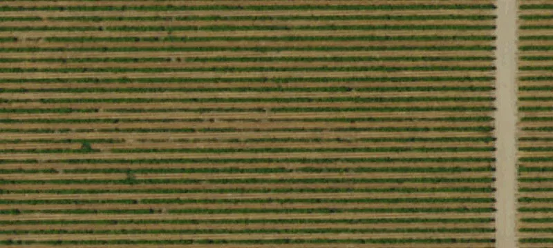 Delano, CA 93215