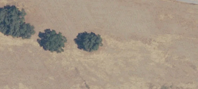 Porterville, CA 93257