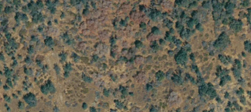 Three Rivers, CA 93271