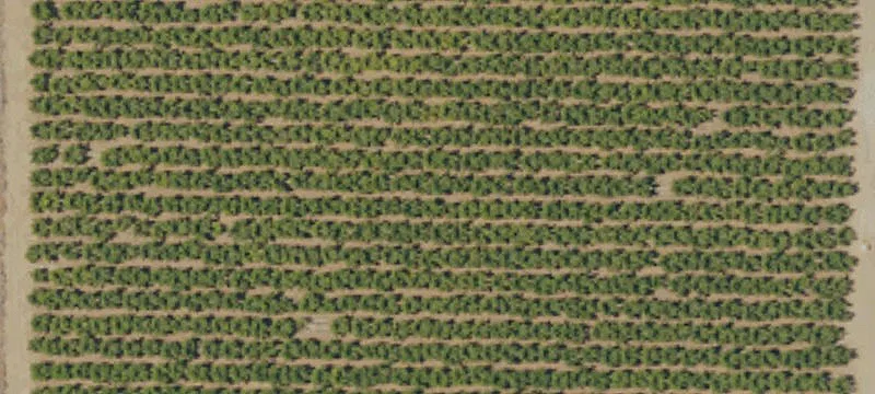 Dinuba, CA 93618