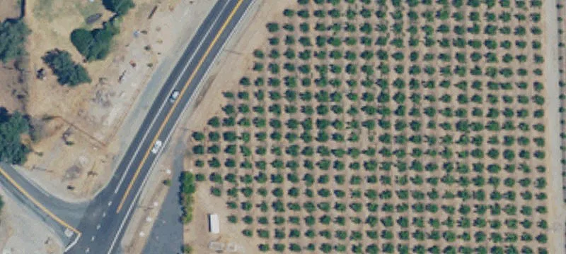 Lemon Cove, CA 93244