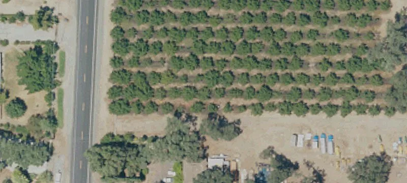 31910 Rd 160