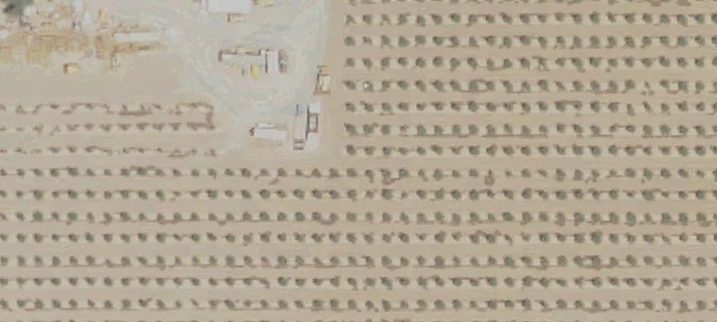 Terra Bella, CA 93270