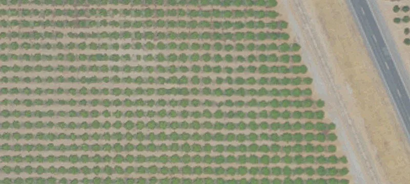 Lindsay, CA 93247