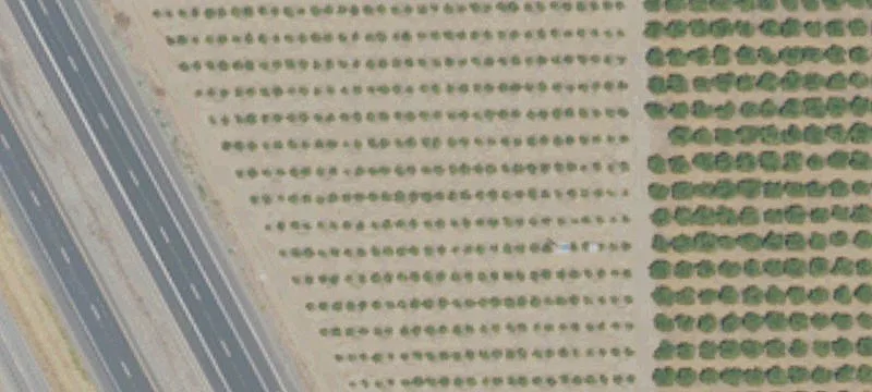 Lindsay, CA 93247