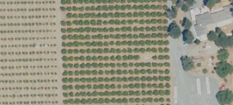 Lindsay, CA 93247