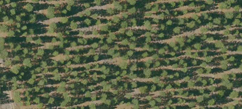 Weed, CA 96094