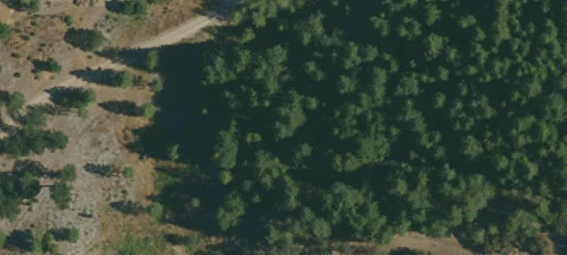 1990 Upriver Rd