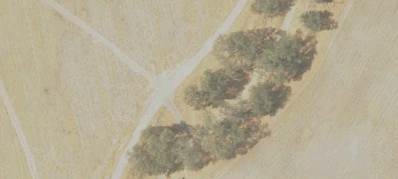 Tulare, CA 93274