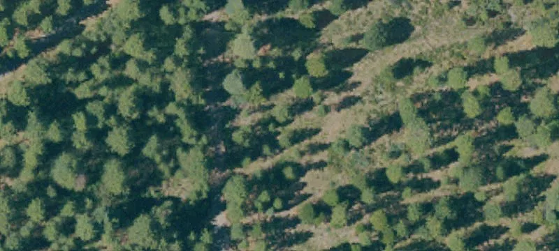 Mccloud, CA 96057