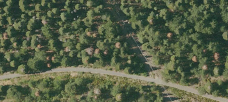 Weed, CA 96094