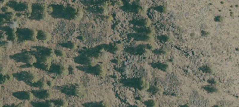 Dorris, CA 96023