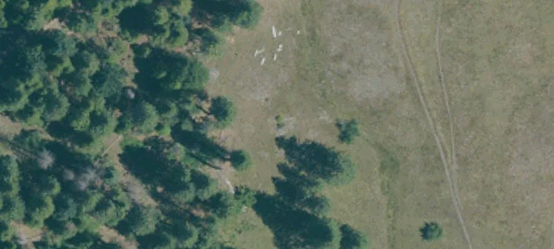 Mccloud, CA 96057