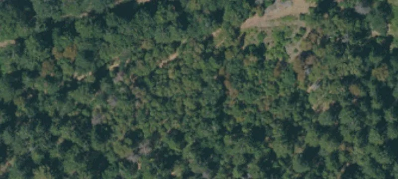 58988 State Hwy 299