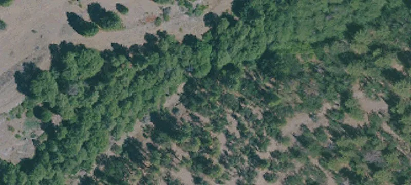 Callahan, CA 96014