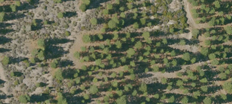 Weed, CA 96094