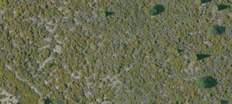  Mount