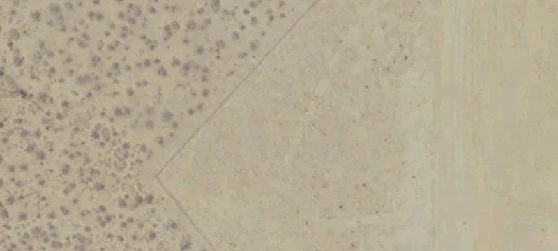 Rosamond, CA 93560