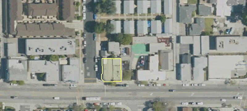 123 Arbor Vitae St