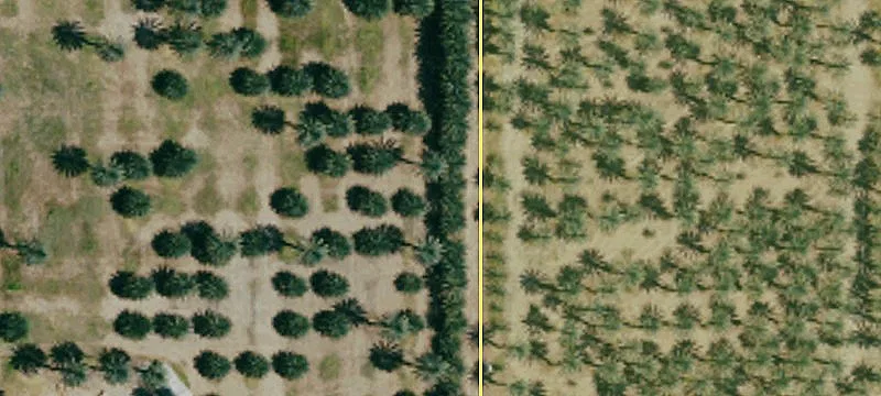 Winterhaven, CA 92283