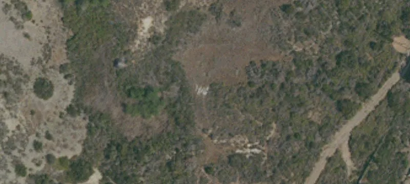 Whiptail Loop