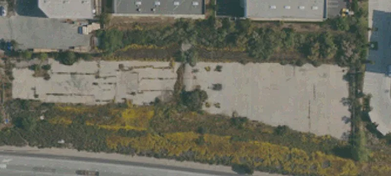 Cactus Rd