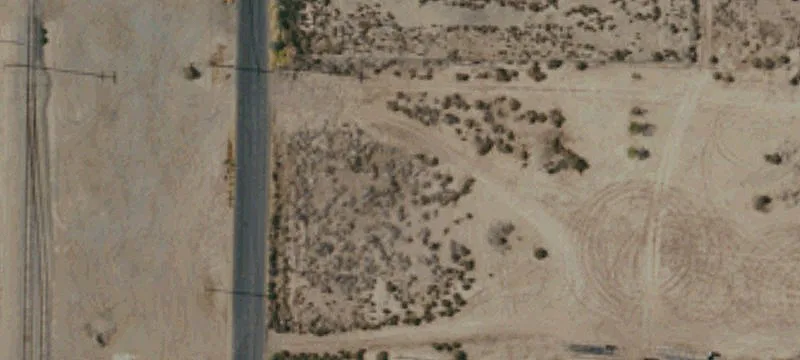 Alamo Dr