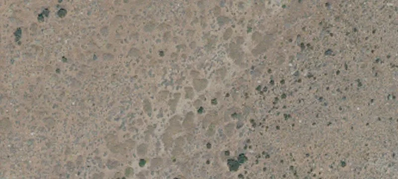 Great S Overland Stage