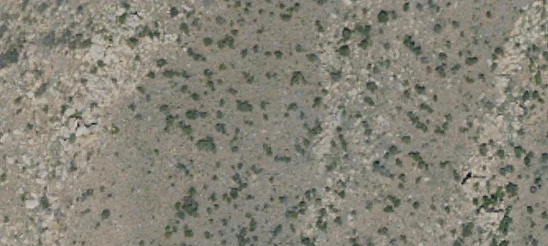 Great S Overland Stage