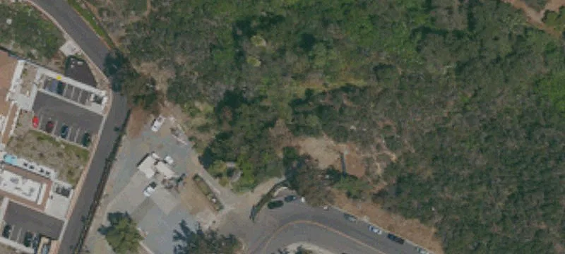 Cougar Dr